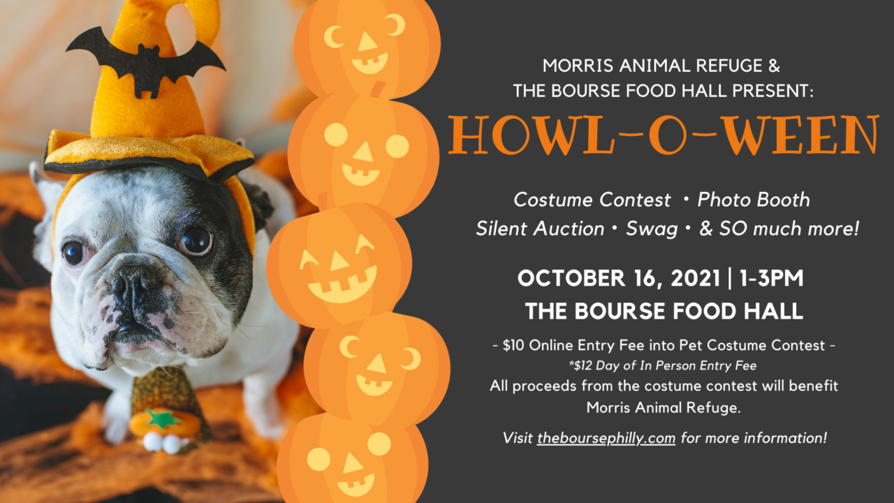 HOWL O WEEN Pet Costume Contest Fall Fest The Bourse